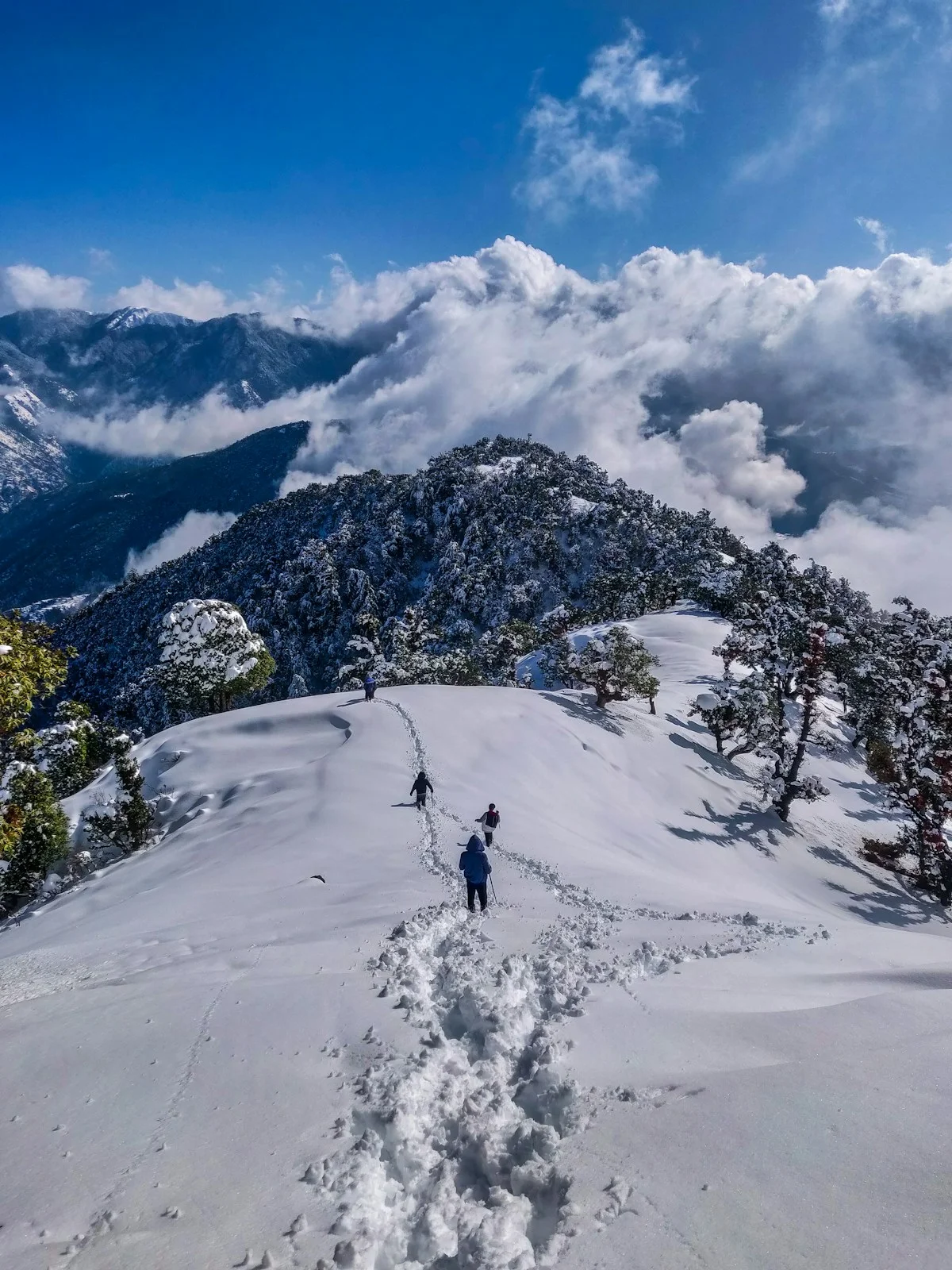 Himachal Mountains